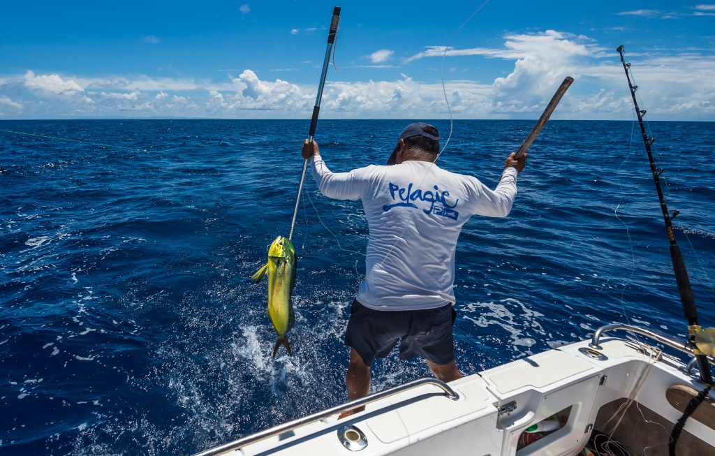 seychelles fishing.jpg